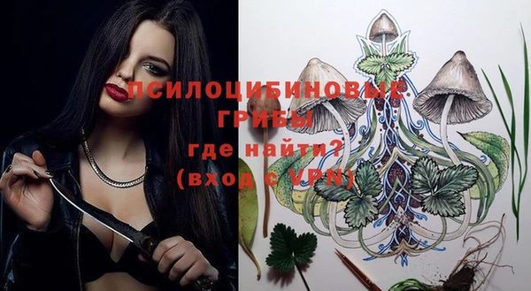ешки Липки