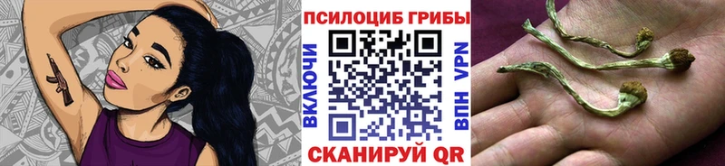 KRAKEN маркетплейс  Судак  Псилоцибиновые грибы мицелий 